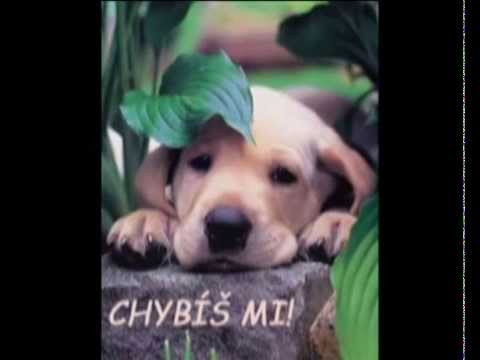 Katarína Hasprová - Zabudnite