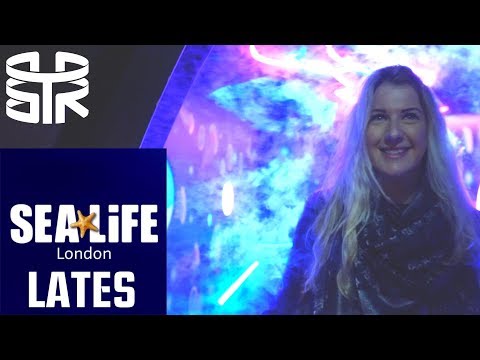 download lagu mp3 mp4 Sea Life London Lates, download lagu Sea Life London Lates gratis, unduh video klip Sea Life London Lates