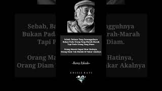 Download lagu diam diam menghanyutkan #shorts #katakatabijak #statusvideo #storywa #katakatainspirasi mp3
