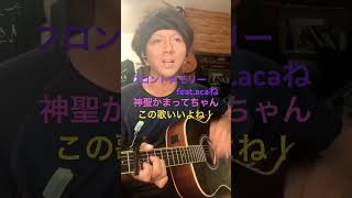 フロントメモリー　神聖かまってちゃん　acaね　ずとまよ　アコギ　弾き語り
