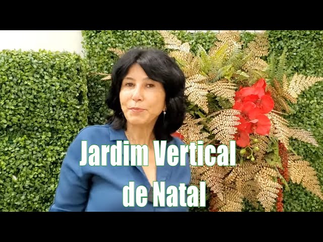 COMO FAZER UM LINDO JARDIM VERTICAL DE NATAL