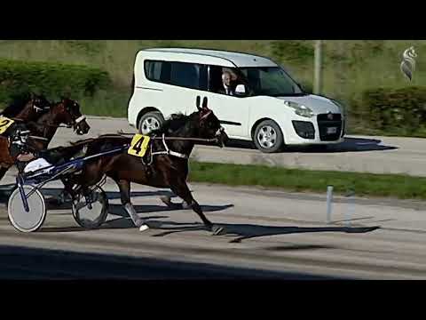 Aversa trotto 14 Maggio 2022 - 8° Corsa