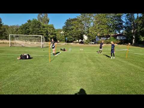 Målvaktsträning fotboll med Västerviks FF Sebastian, Elias, Jacob och Simon