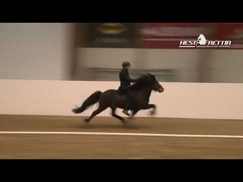 Áfram  -  Ljóð: Hannes Hafstein,  Lag: Árni Thorsteinsson.