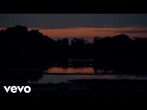 Cholo Valderrama - Amor Salvaje