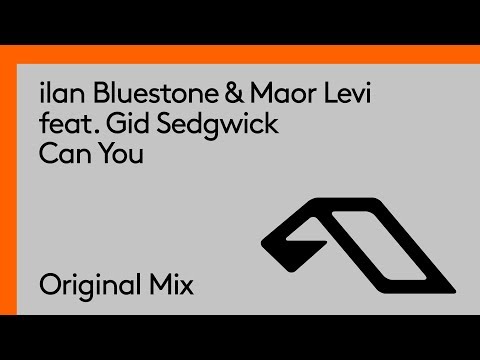 ilan Bluestone & Maor Levi feat. Gid Sedgwick - Can You
