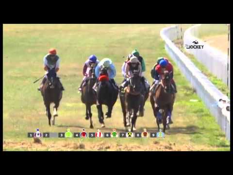 3 Carrera, premio Cruzcampo, 28 de febrero 2016 - Gran Hipódromo de Andalucía (Dos Hermanas)