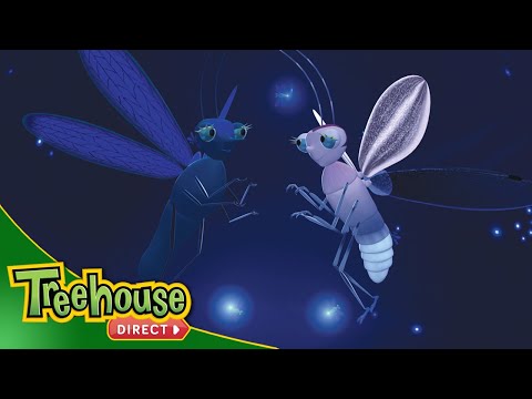Miss Spider | Bug Talk / The Befuddled Butterfly - Ep.40
