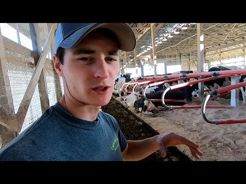 Gate Repair & Easyfix Stall Review