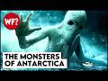Cryptids Vol. 3: The Antarctic Cover-up | Predators Beneath the Ice
