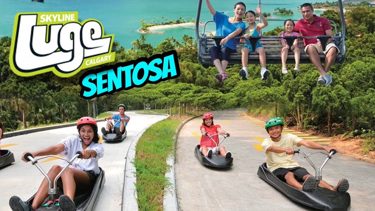 Immerse yourself in the virtual thrill of Skyline Luge & Skyride.