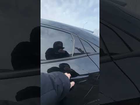 фото honda civic x 0