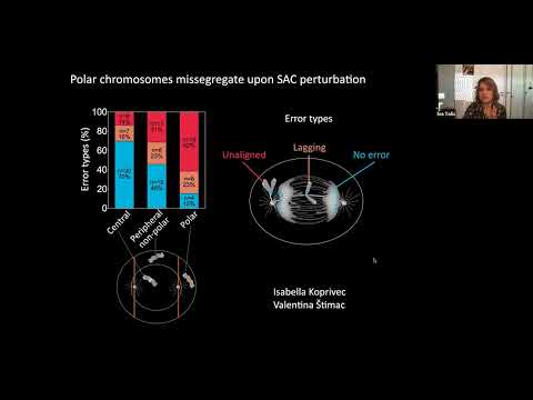 Mechanobiology of cell division