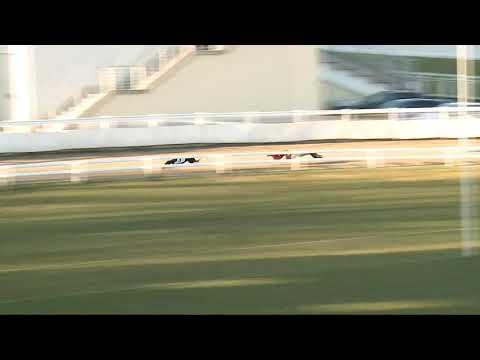 2021.12.04. 06. futam - Mester Tréner Díj