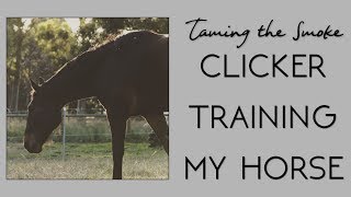 Horse Clicker Training Walkthrough + NEW INTRO // TAMING THE SMOKE