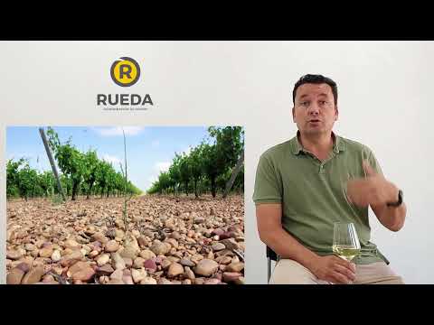 Bodegas El Inicio. That's how it all began (and that's who we are) IN SPANISH