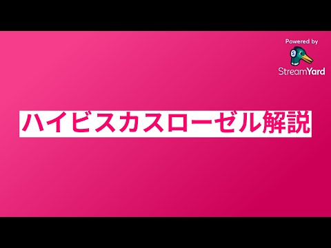 医療ビジネス薬科学科 ハイビスカスローゼル解説