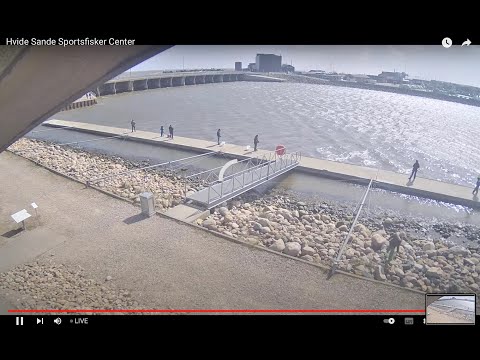 Hvide Sande Sportsfisker Center