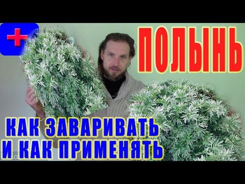 Полынь. Как заваривать ПОЛЫНЬ. Как применять полынь. Антипаразитарная чистка народными средствами!