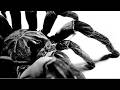 Inpatient (Ren x Chris Webby) - Tarantula