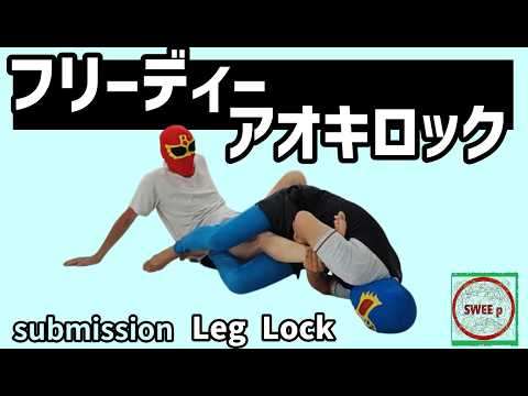 フリーディーアオキロック