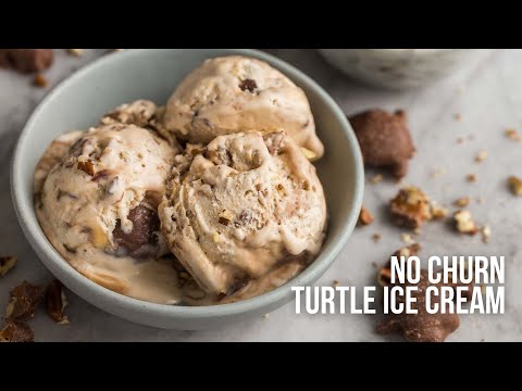 Easy NO CHURN Turtle Ice Cream | The Recipe Rebel