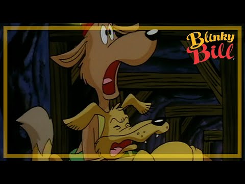 BLINKY BILL AND THE EARTHQUAKE - Episode 4 - Season 2 - The Adventures of Blinky Bill
