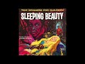 Denise Bryer SLEEPING BEAUTY Tale Spinners Series 1963