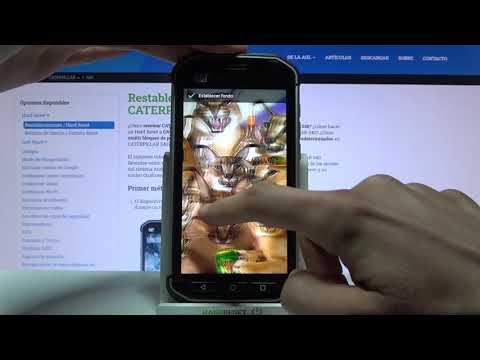 Cómo personalizar la pantalla de inicio en CATERPILLAR S40 - cambiar fondo de pantalla