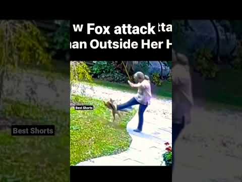 Fox Attacks Women