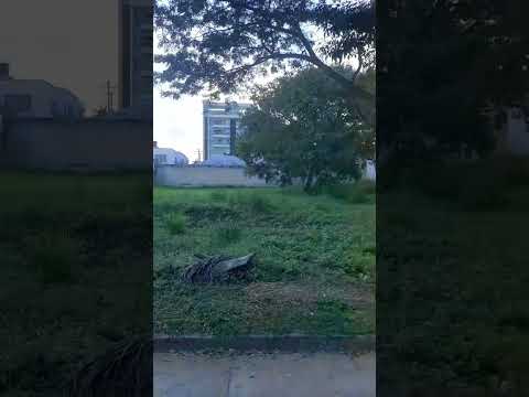 se vende lote en el barrio venecia sincelejo sucre Colombia