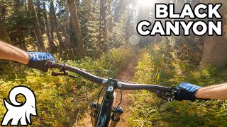 Black Canyon Trail // Teton Pass, Wilson, WY // Mountain Biking POV