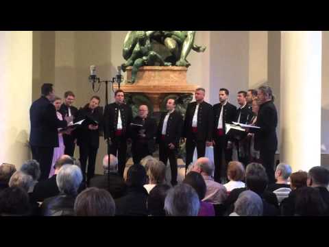 Da si od duba zelenog - Klapa Croatia München ft. Ensamble Phoenix München