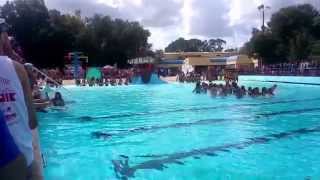 USF Alpha Delta Pi Anchorsplash 2015