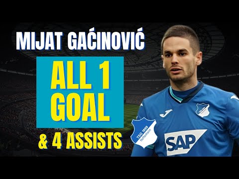 Mijat Gaćinović - ALL 1 GOAL & ASSISTS FOR HOFFENHEIM | Skills & Highlights