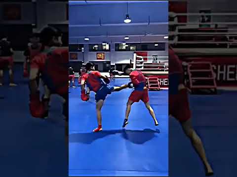 Wushu fights🔥🔥👊