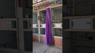 Download lagu viral‼️kandang ternak burung murai batu‼️minimalis hasil sangat manis‼️ mp3