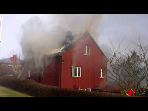 Tamarhald á eldinum