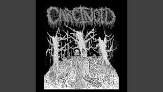 Music video thumbnail preview for Face of Anguish by Carcinoid