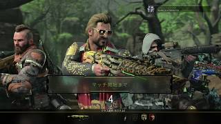 やっぱこのゲームは面白いよ「COD BO4」