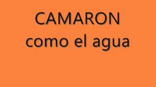 camaron como el agua