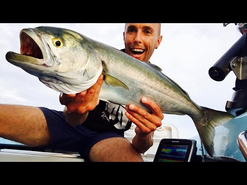 l'invasione dei serra