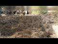 Part 5 Third Day Second Time Ploughing By Young Einstein