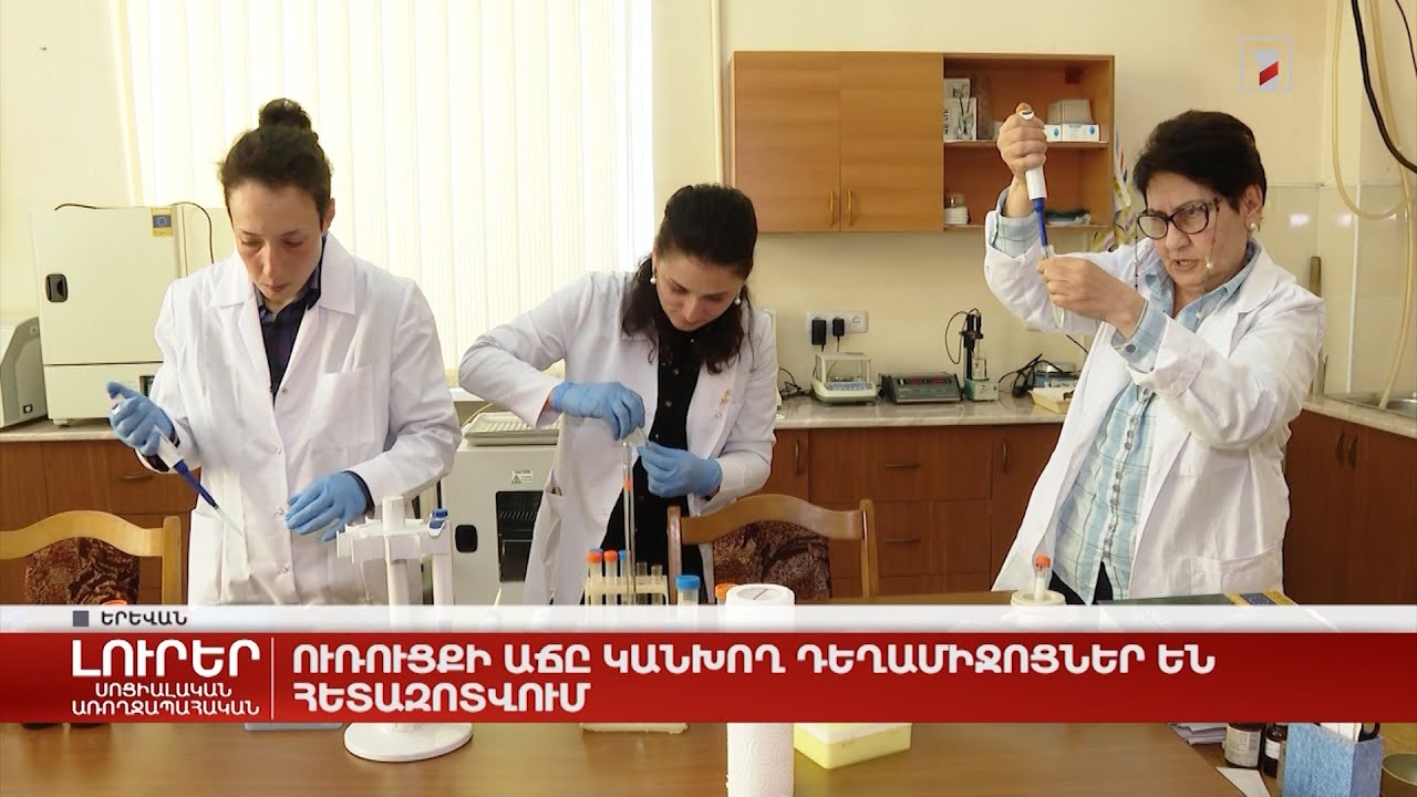 Ուռուցքի աճը կանխող դեղամիջոցներ են հետազոտվում