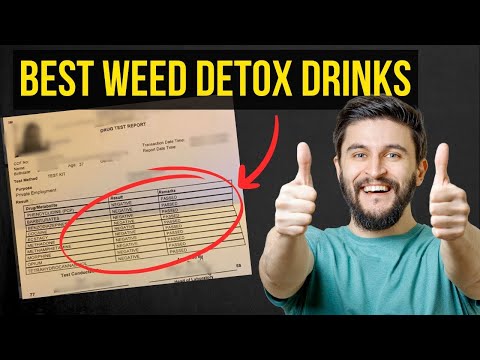 Best Thc Detox Drink