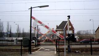 preview picture of video 'Spoorwegovergang Schinnen Railroad/ Level Crossing'