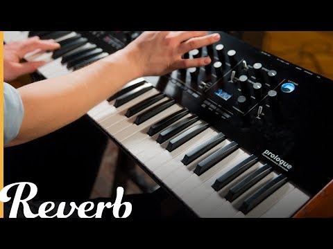 Korg Prologue Polyphonic Analogue Synthesizer | Reverb Demo Video