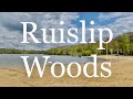 Ruislip Woods Bronze Age Woods With Beach
