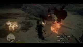 『プレイ動画』　ドラゴンズドグマ　１３　【新世界～Blind　new　world～】