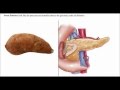 The Most Important Video You Will Ever Watch Food